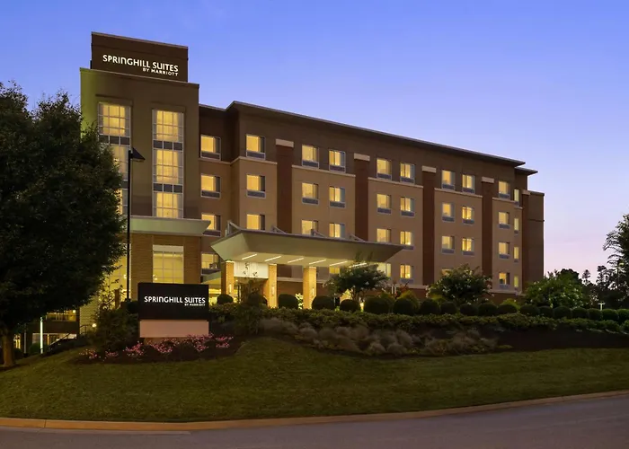 Springhill Suites By Marriott Roanoke